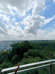 Eco Sanctuary (D23), Condominium #432659101